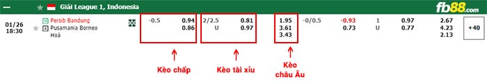 fb88-bảng kèo trận đấu Persib Bandung vs Borneo