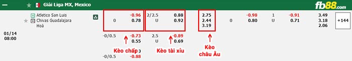 fb88-bảng kèo trận đấu San Luis vs Chivas Guadalajara