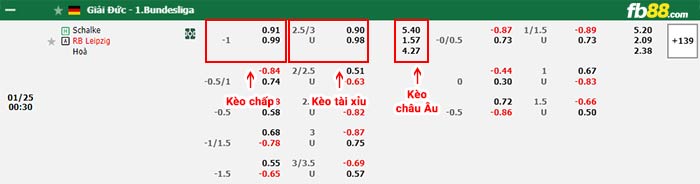 fb88-bảng kèo trận đấu Schalke vs Leipzig