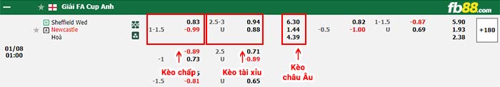 fb88-bảng kèo trận đấu Sheffield Wed vs Newcastle
