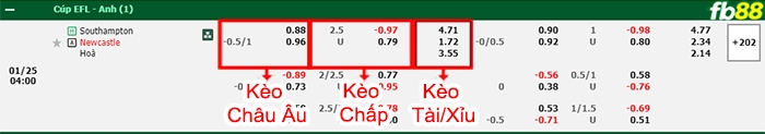 Fb88 bảng kèo trận đấu Southampton vs Newcastle