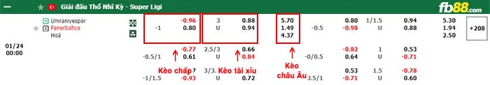 fb88-bảng kèo trận đấu Umraniyespor vs Fenerbahce