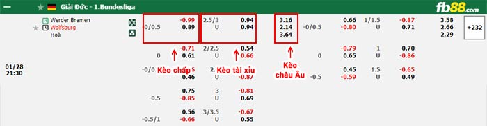 fb88-bảng kèo trận đấu Werder Bremen vs Wolfsburg