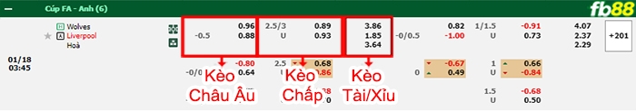 Fb88 bảng kèo trận đấu Wolves vs Liverpool