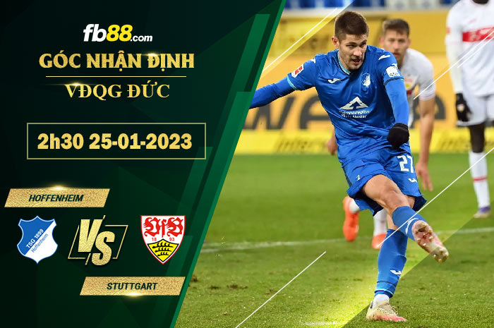 Fb88 soi kèo trận đấu Hoffenheim vs Stuttgart