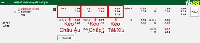 Fb88 bảng kèo trận đấu Blackburn vs Blackpool