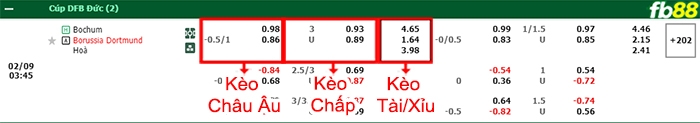 Fb88 bảng kèo trận đấu Bochum vs Dortmund