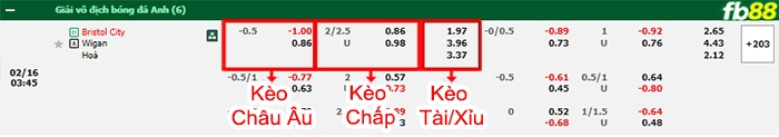 Fb88 bảng kèo trận đấu Bristol vs Wigan
