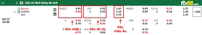 fb88-bảng kèo trận đấu Burnley vs Watford