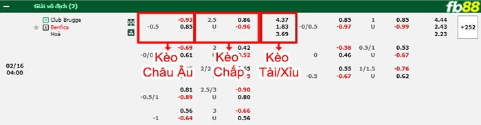 Fb88 bảng kèo trận đấu Club Brugge vs Benfica