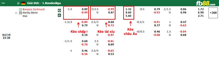 fb88-bảng kèo trận đấu Dortmund vs Hertha Berlin