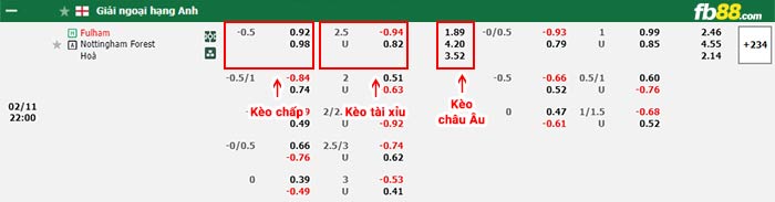 fb88-bảng kèo trận đấu Fulham vs Nottingham