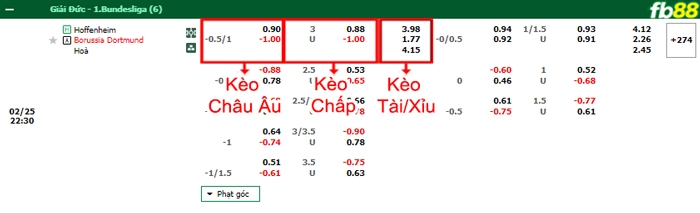 Fb88 bảng kèo trận đấu Hoffenheim vs Dortmund
