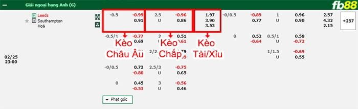 Fb88 bảng kèo trận đấu Leeds vs Southampton