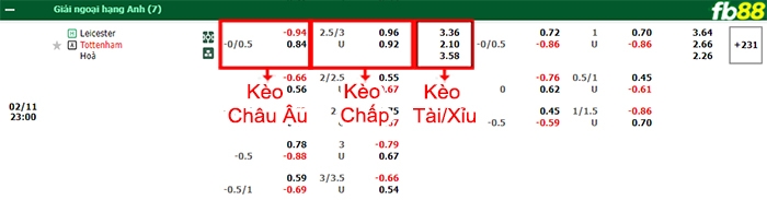 Fb88 bảng kèo trận đấu Leicester vs Tottenham