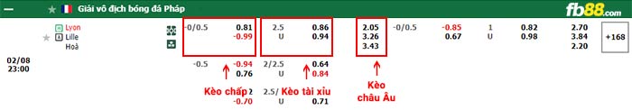 fb88-bảng kèo trận đấu Lyon vs Lille