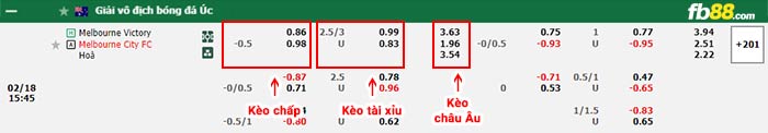 fb88-bảng kèo trận đấu Melbourne Victory vs Melbourne City
