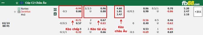 fb88-bảng kèo trận đấu Nantes vs Juventus