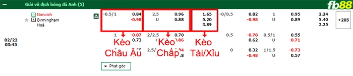 Fb88 bảng kèo trận đấu Norwich vs Birmingham