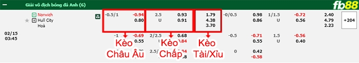 Fb88 bảng kèo trận đấu Norwich vs Hull City