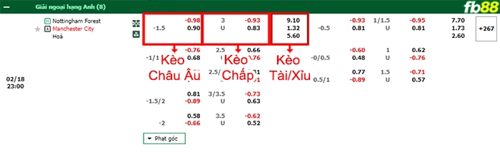 Fb88 bảng kèo trận đấu Nottingham vs Man City