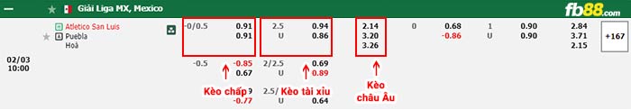 fb88-bảng kèo trận đấu San Luis vs Puebla