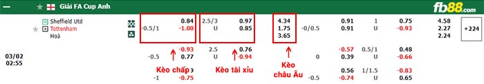 fb88-bảng kèo trận đấu Sheffield United vs Tottenham