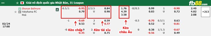 fb88-bảng kèo trận đấu Shonan Bellmare vs Yokohama FC