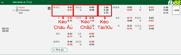 Fb88 bảng kèo trận đấu Torino vs Cremonese