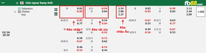 fb88-bảng kèo trận đấu Tottenham vs Chelsea