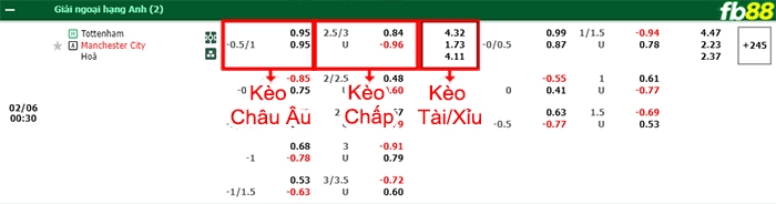 Fb88 bảng kèo trận đấu Tottenham vs Man City