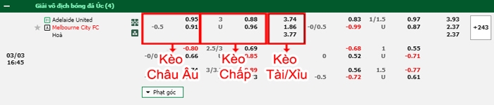 Fb88 bảng kèo trận đấu Adelaide vs Melbourne City