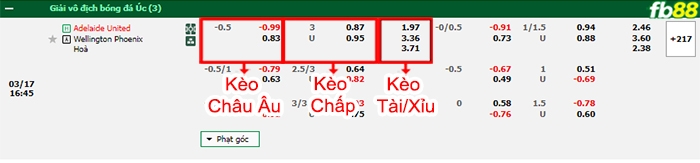 Fb88 bảng kèo trận đấu Adelaide vs Wellington Phoenix