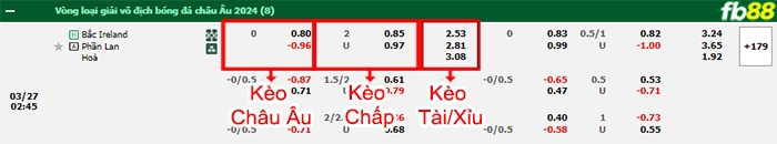 Fb88 bảng kèo trận đấu Bắc Ailen vs Phần Lan