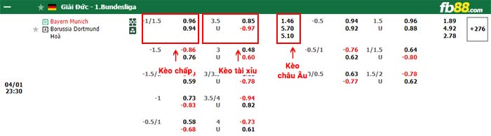 fb88-bảng kèo trận đấu Bayern Munich vs Dortmund