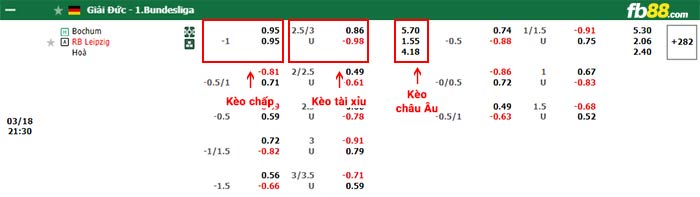 fb88-bảng kèo trận đấu Bochum vs Leipzig