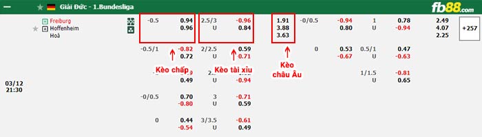 fb88-bảng kèo trận đấu Freiburg vs Hoffenheim