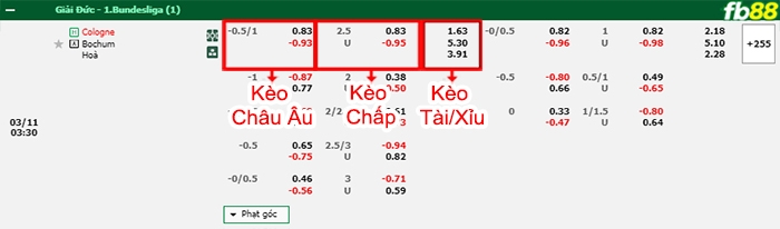 Fb88 bảng kèo trận đấu Koln vs Bochum