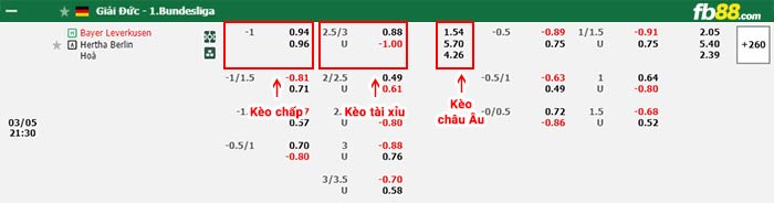 fb88-bảng kèo trận đấu Leverkusen vs Hertha Berlin