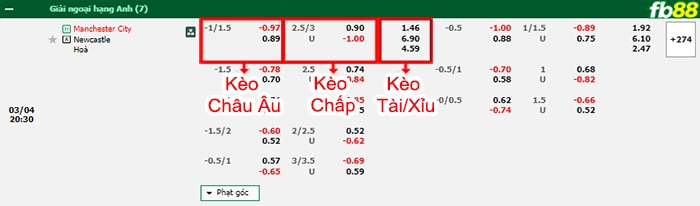 Fb88 bảng kèo trận đấu Man City vs Newcastle