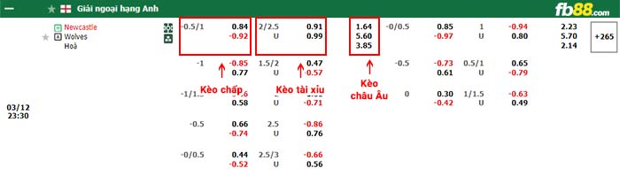 fb88-bảng kèo trận đấu Newcastle vs Wolves