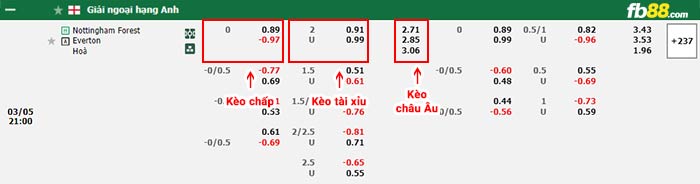 fb88-bảng kèo trận đấu Nottingham Forest vs Everton