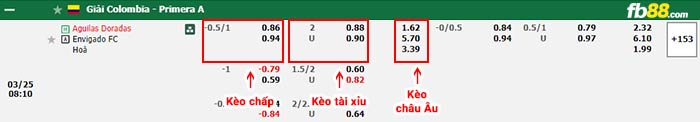 fb88-bảng kèo trận đấu Rionegro Aguilas vs Envigado