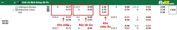 fb88-bảng kèo trận đấu Wellington Phoenix vs Melbourne Victory