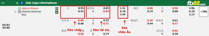 fb88-bảng kèo trận đấu Atletico Mineiro vs Libertad