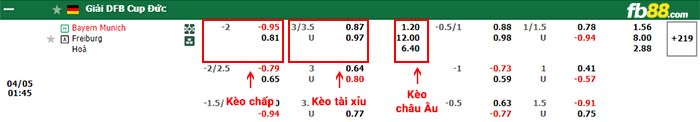 fb88-bảng kèo trận đấu Bayern Munich vs Freiburg