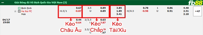 Fb88 bảng kèo trận đấu Bình Định vs Hà Nội