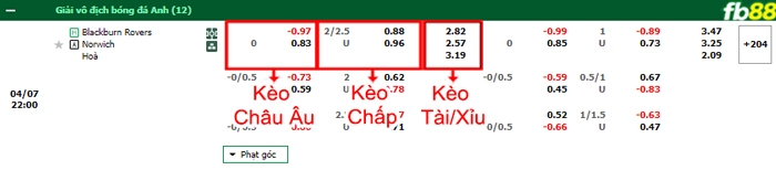 Fb88 bảng kèo trận đấu Blackburn vs Norwich