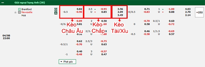 Fb88 bảng kèo trận đấu Brentford vs Newcastle