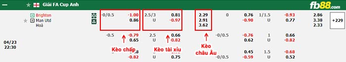 fb88-bảng kèo trận đấu Brighton vs Man Utd